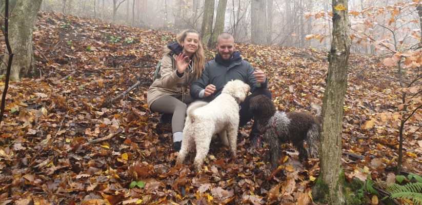 Dog Training 003