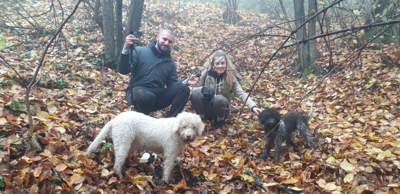 Dog Training 004