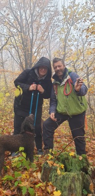 Dog Training 005