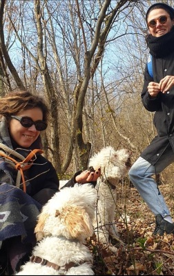 Dog Training 013