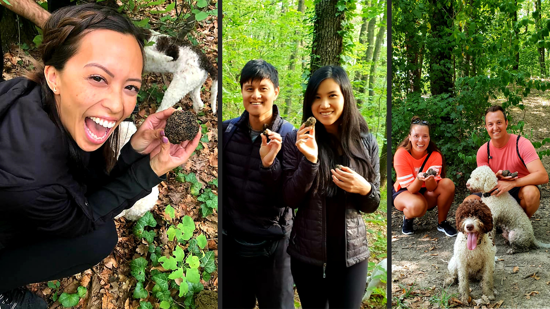 FIND YOUR FIRST TRUFFLE